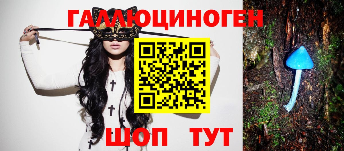 Псилоцибиновые грибы Psilocybe Нижний Тагил
