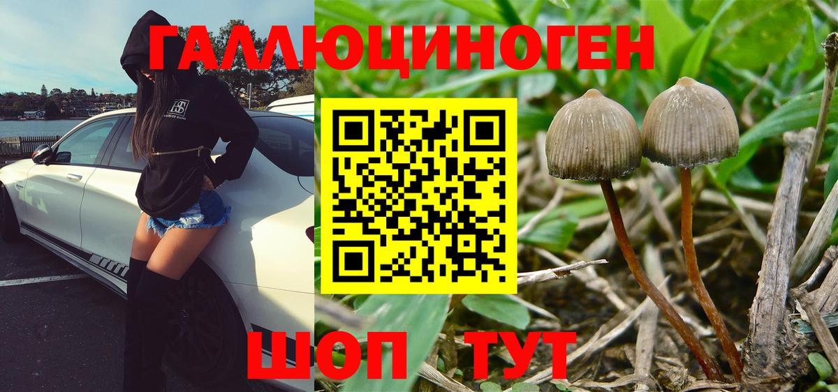 Галлюциногенные грибы Cubensis  Вход с VPN  Нижний Тагил  Галлюциногенные грибы MAGIC MUSHROOMS 