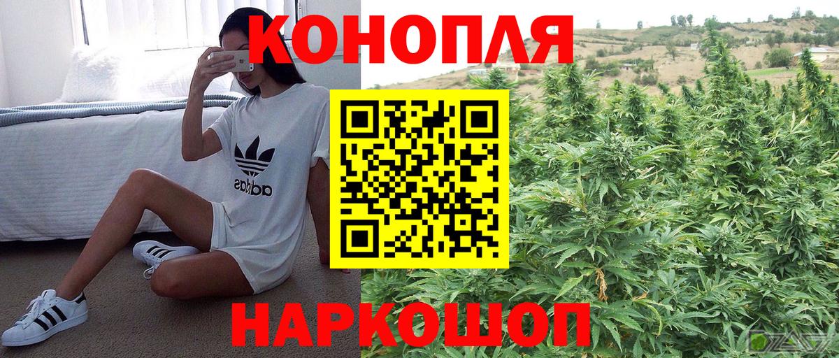 Конопля ГИДРОПОН Нижний Тагил